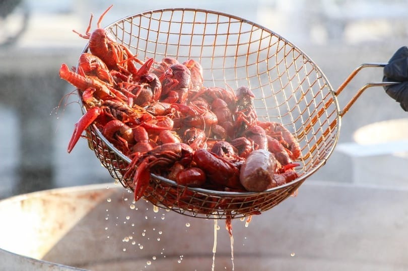 Steaming red crawfish and sausage being lifted from a pot in a metal basket.